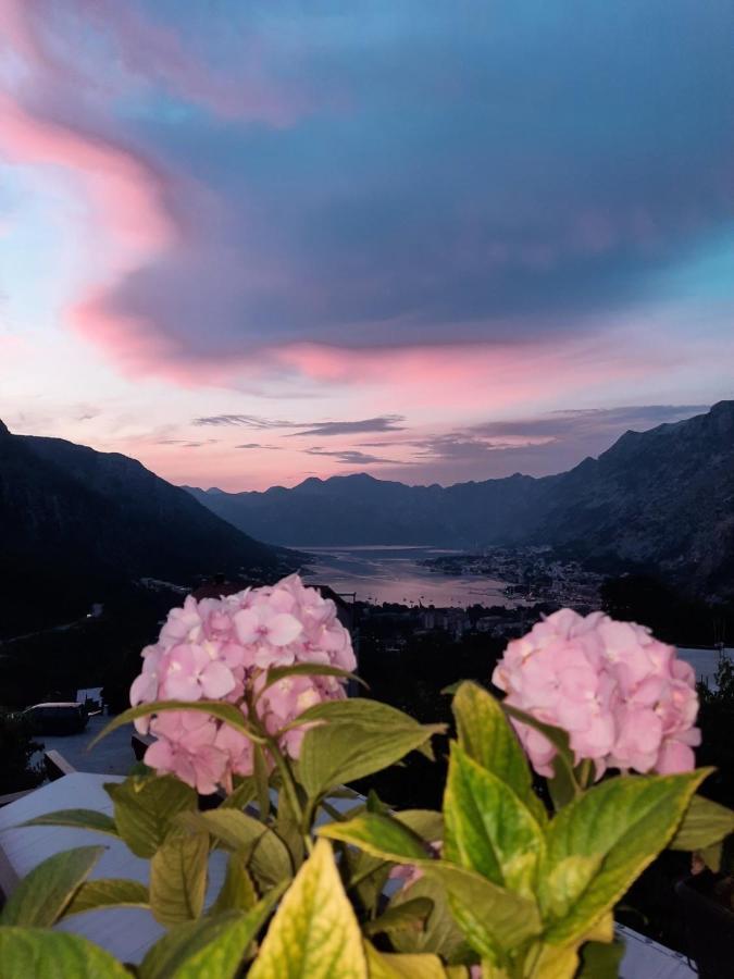 Apartmani Vasilije Kotor Kültér fotó